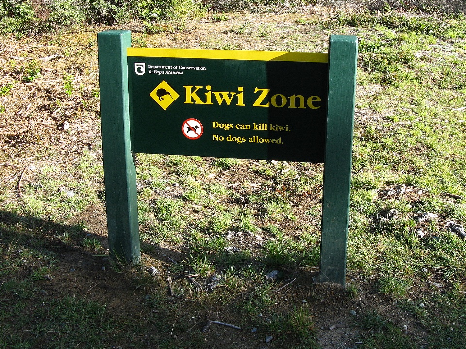 Zoned for Kiwis